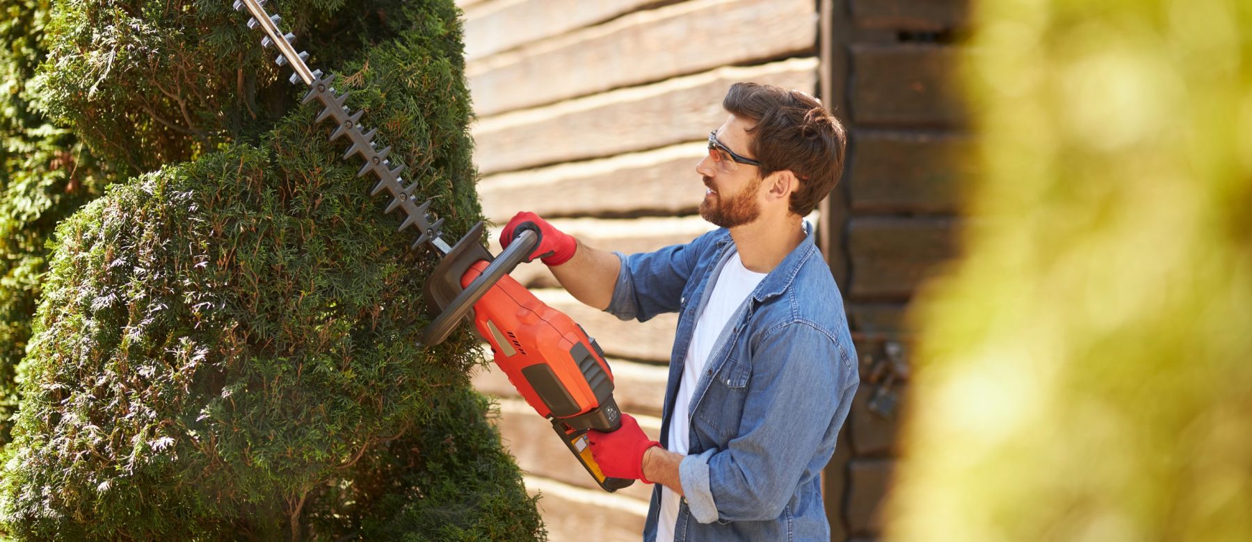 Professional male landscaper trimming thuja tree with hedge trimmer in summer. Side view of male worker creating topiary garden by cutting branches of evergreen plants. Concept of topiary, gardening.