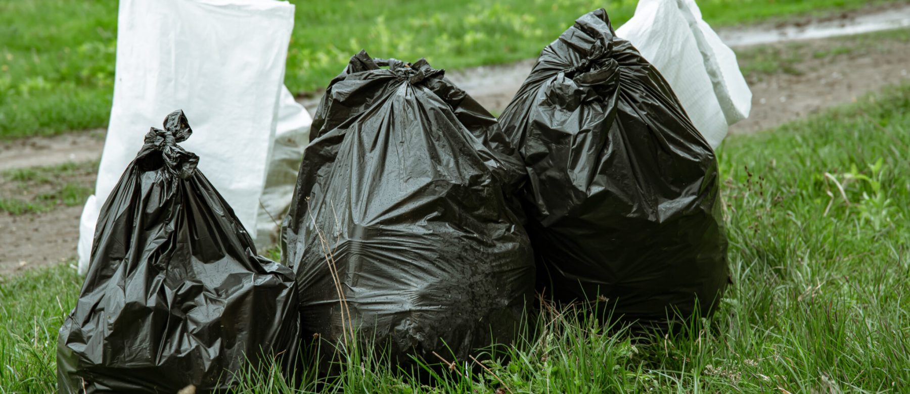 Close up of trash bags filled with trash after cleaning the environment.